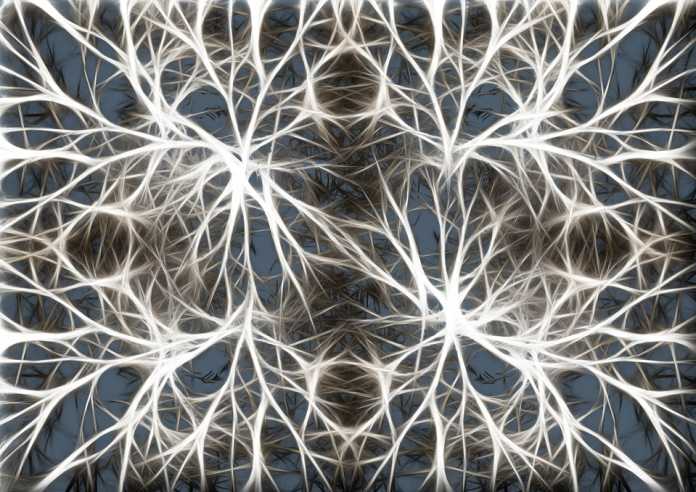Neuronas nuestra generacion